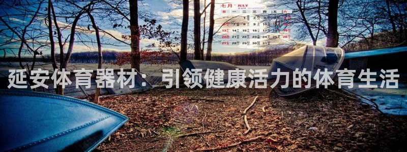星欧娱乐公司