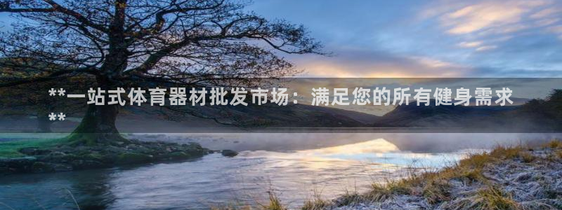 江苏星奥娱乐招艺人：**一站式体育器材批发市场：满足