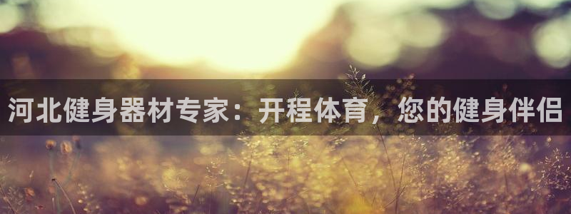 星欧娱乐的官方版本更新内容怎么删除：河北健身器材专家
