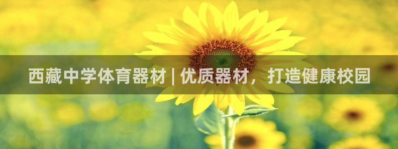 星欧娱乐还能玩吗