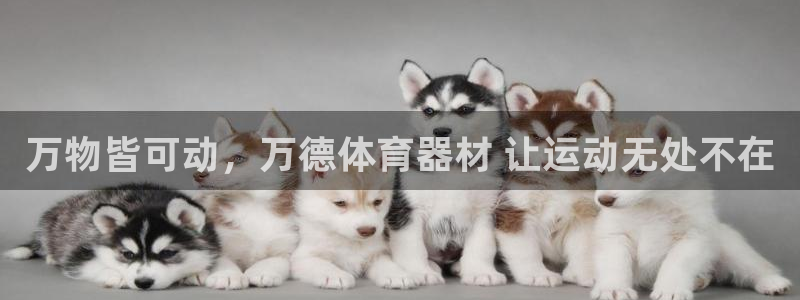星欧娱乐app最新版本更新内容下载