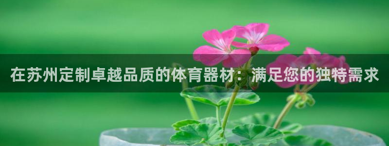 星欧娱乐平台怎么样知乎赚钱吗：在苏州定制卓越品质的体