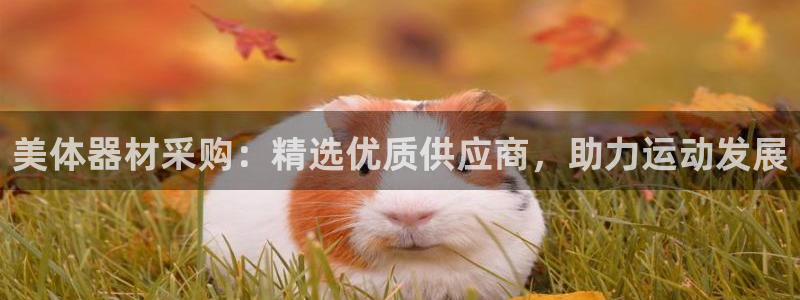 星游娱乐1官网下载：美体器材采购：精选优质供应商，助