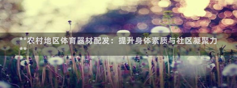 星欧娱乐和嫲薇他的区别是什么：**农村地区体育器材配