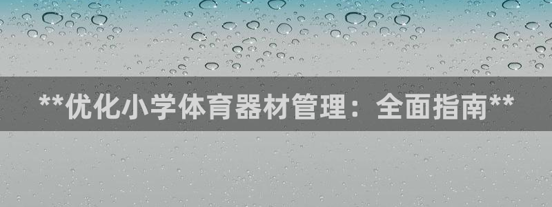星欧娱乐公司怎么样：**优化小学体育器材管理：全面指
