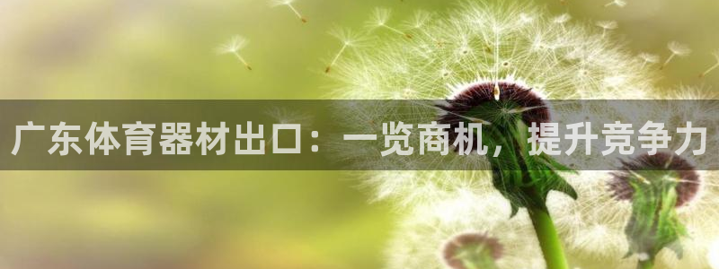 星欧娱乐扣款时间查询方法怎么查不了：广东体育器材出口