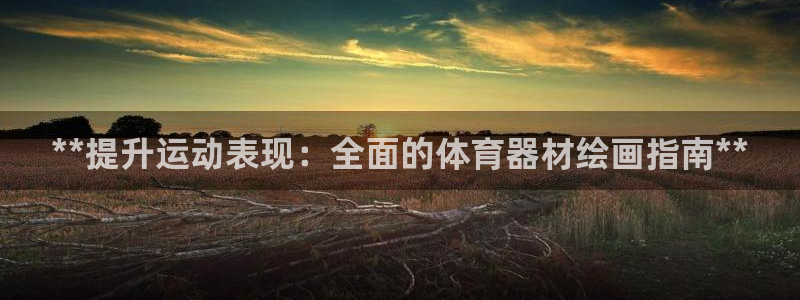 星欧娱乐公司怎么样