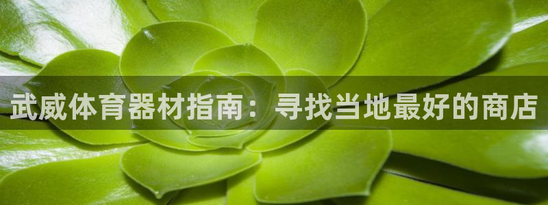 星欧娱乐会员优惠活动：武威体育器材指南：寻找当地最好