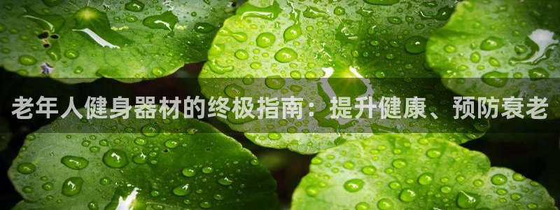 星欧娱乐会员优惠活动：老年人健身器材的终极指南：提升