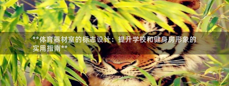 星欧娱乐最建议买的三个产品是什么意思