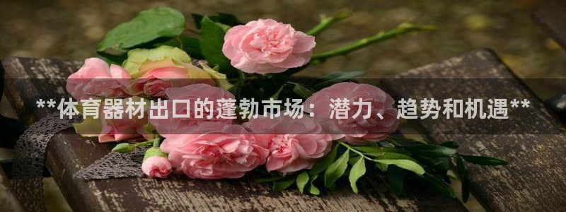 星欧娱乐官网：**体育器材出口的蓬勃市场：潜力、趋势