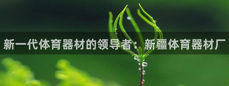 星欧娱乐官网首页：新一代体育器材的领导者：新疆体育器