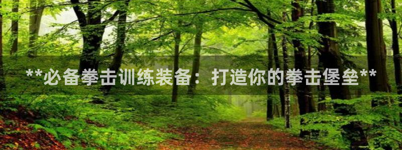 星欧娱乐的创始人背景故事介绍