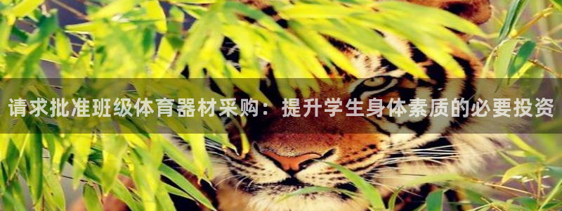 星欧娱乐挂机