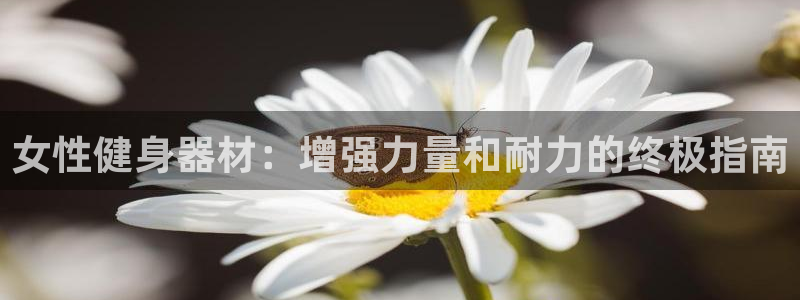 星欧娱乐扣款流程详解图