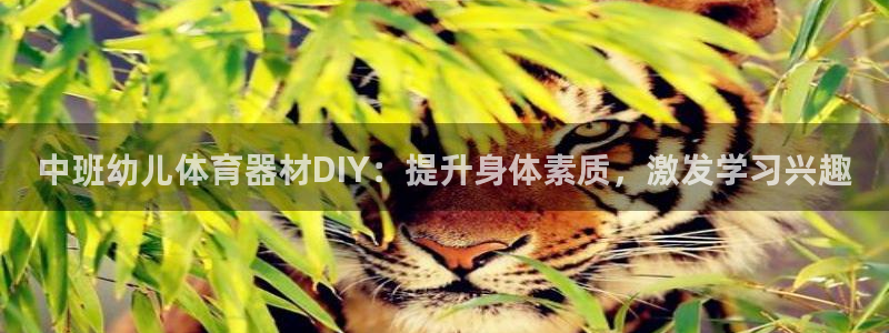 星欧娱乐公司创始人背景故事