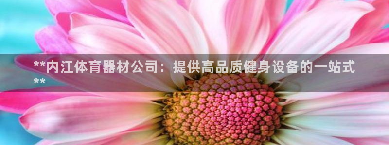 星欧娱乐信存手机版下载：**内江体育器材公司：提供高