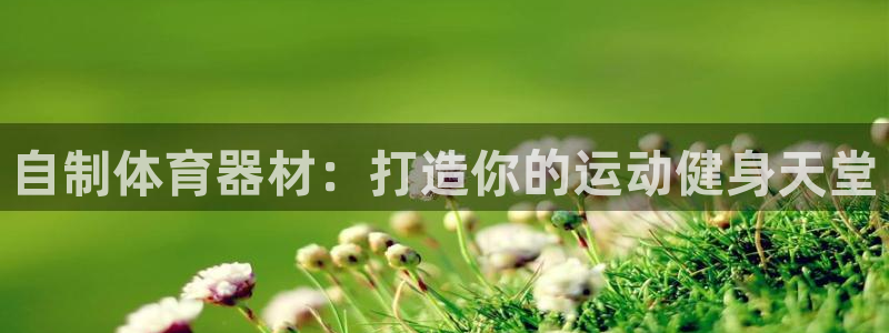 星欧娱乐信存手机版下载：自制体育器材：打造你的运动健