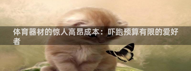 星欧娱乐法711.112怎么扣钱：体育器材的惊人高昂