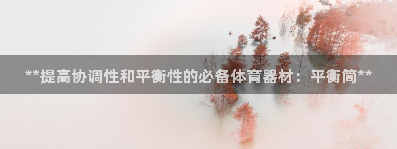 星欧娱乐公司：**提高协调性和平衡性的必备体育器材：