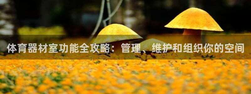 星欧娱乐属于什么档次的公司名称