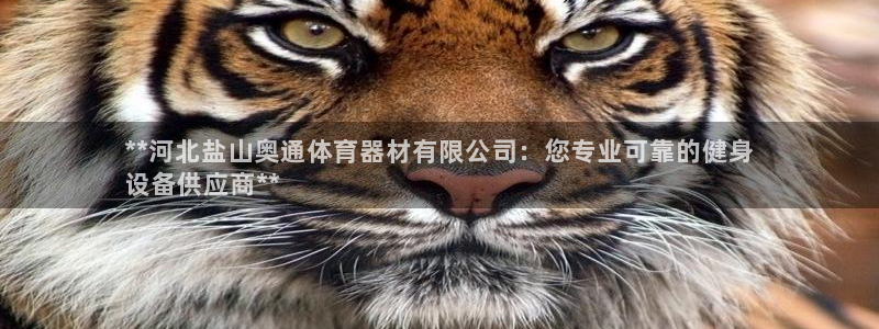 星欧娱乐最建议买的三个产品是什么意思