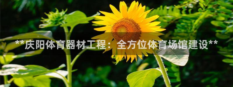 星澳娱乐公司简介