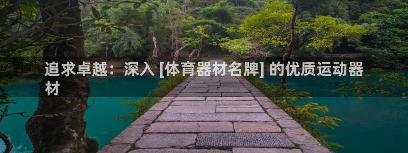 星欧娱乐平台过7O777：追求卓越：深入 [体育器材