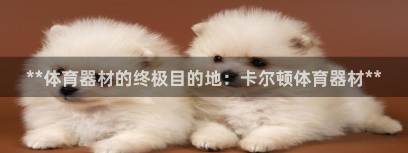 星欧娱乐法711.112怎么扣钱