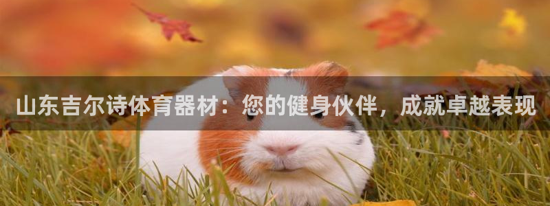 星欧娱乐和嫲薇他的区别是什么