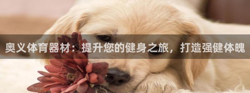 星欧娱乐平台怎么样啊可靠吗