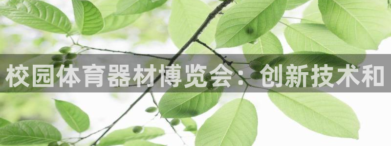 江苏星奥娱乐有限公司