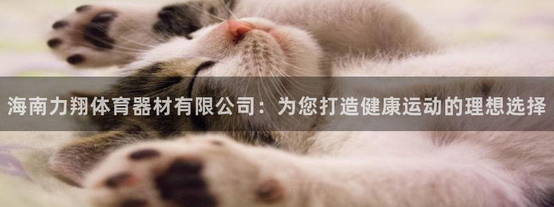 星欧娱乐扣款时间查询方法怎么查的