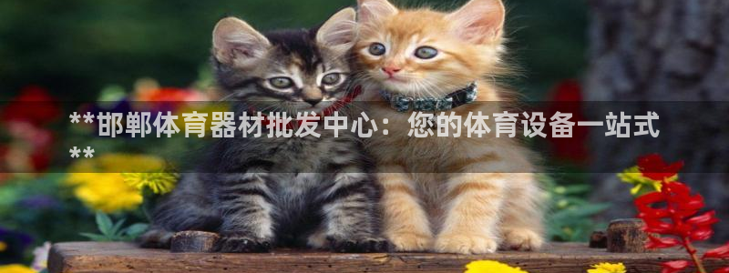 星欧娱乐平台过7O777