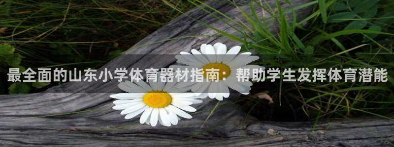 星欧娱乐法最新进展：最全面的山东小学体育器材指南：帮