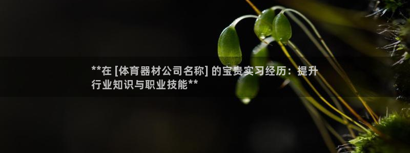 星澳娱乐公司怎么样：**在 [体育器材公司名称] 的