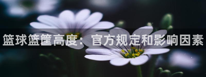 星欧娱乐挂机赚钱是真的吗：篮球篮筐高度：官方规定和影
