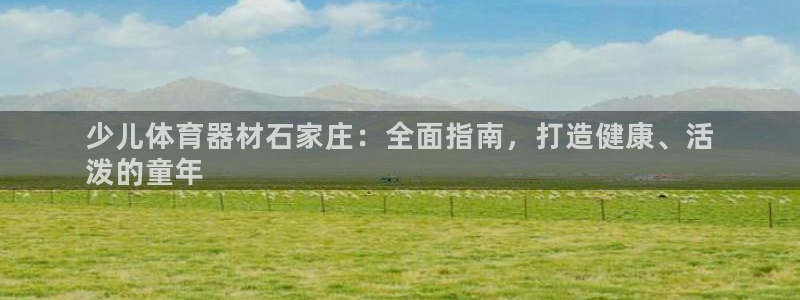 星欧娱乐扣费处理方法：少儿体育器材石家庄：全面指南，