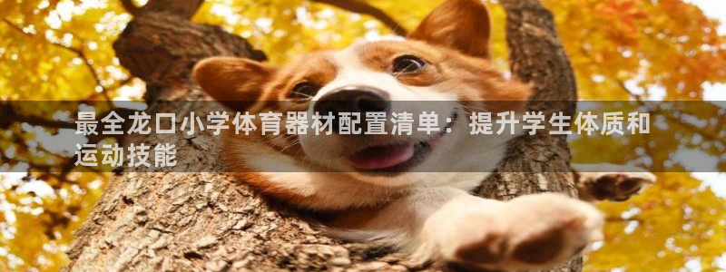星欧娱乐扣款时间查询方法是什么样的