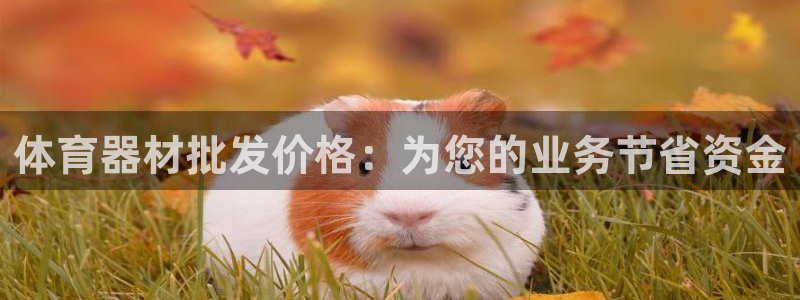 江苏星奥娱乐有限公司怎么样
