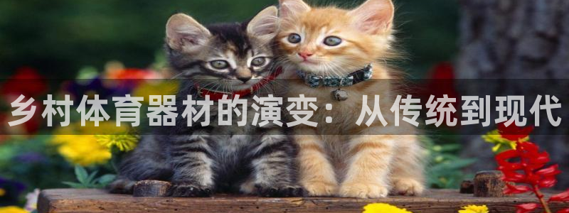 星欧娱乐的官方版本更新内容怎么删除