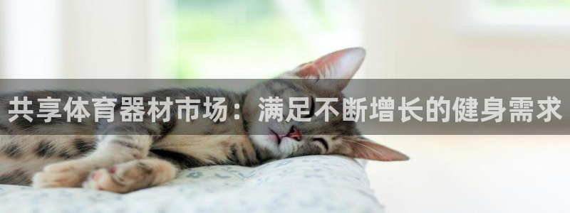 星欧娱乐伐711.112扣费的原因及处理措施：共享体