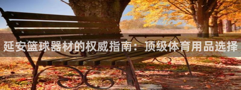 星欧娱乐官网首页下载：延安篮球器材的权威指南：顶级体