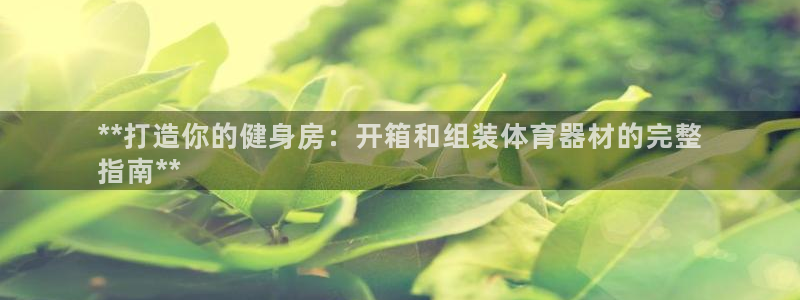 星欧娱乐公司：**打造你的健身房：开箱和组装体育器材