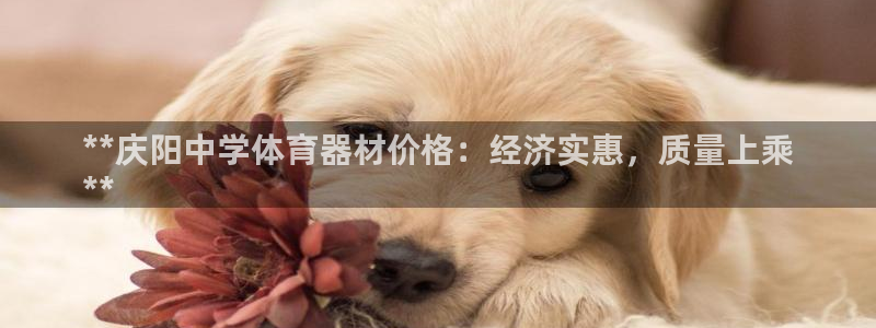 星欧娱乐官方客服联系方式是什么