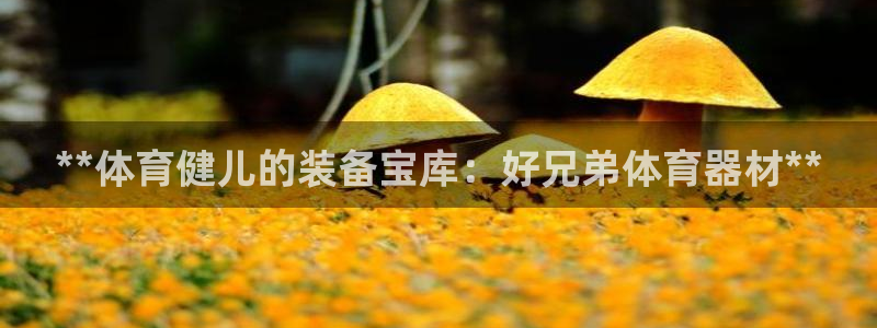 星欧娱乐的官方版本更新内容怎么删除：**体育健儿的装