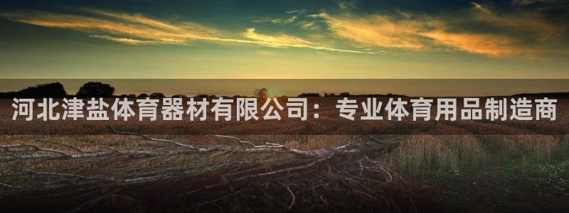 星欧娱乐是正规品牌吗