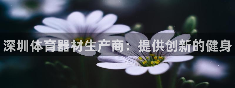 星欧娱乐属于什么档次的公司：深圳体育器材生产商：提供