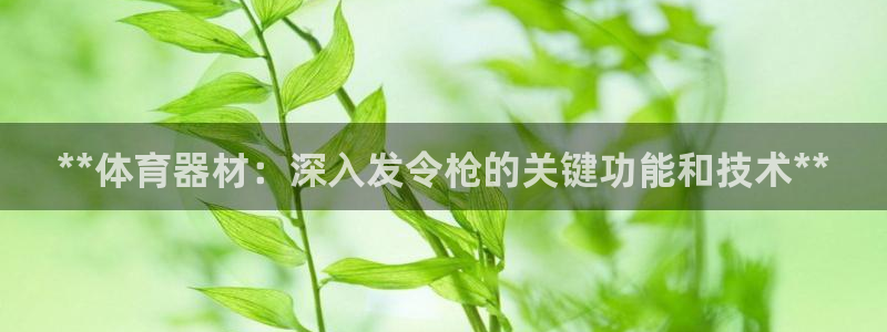 星欧娱乐v8.0.3最新版本更新内容介绍