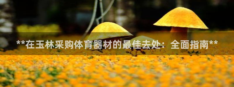 星欧娱乐平台测速线路：**在玉林采购体育器材的最佳去